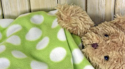 teddy bear with blanket